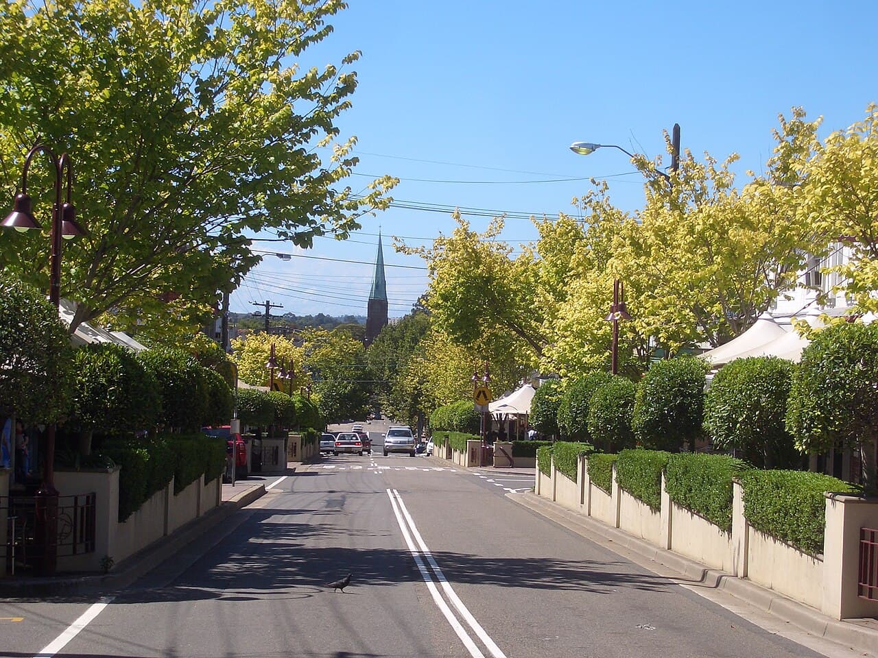 Willoughby Road, Crows Nest, looking along the village spine