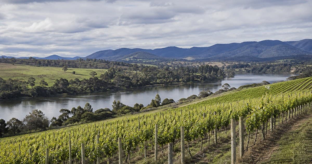 Why Launceston Is Attracting Boutique Businesses in 2026 — And Whether the Numbers Actually Support It