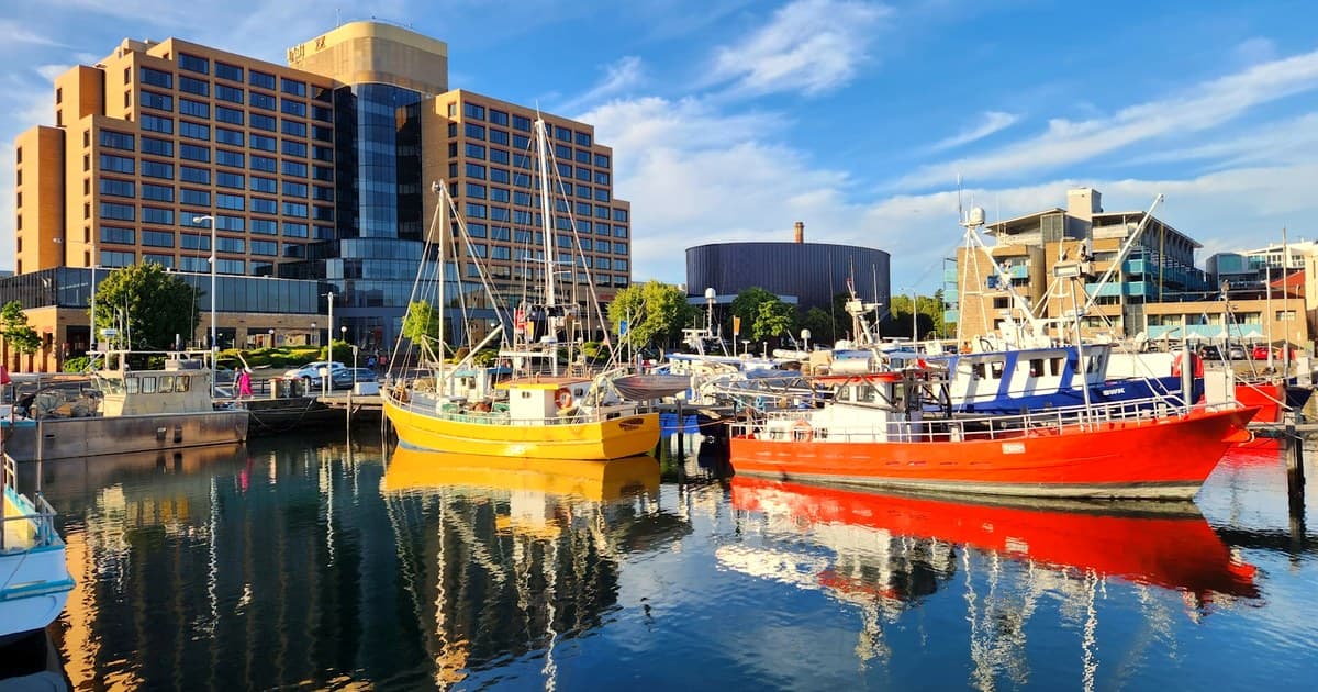 Why Some Businesses Win in Hobart — And Others Fail Fast