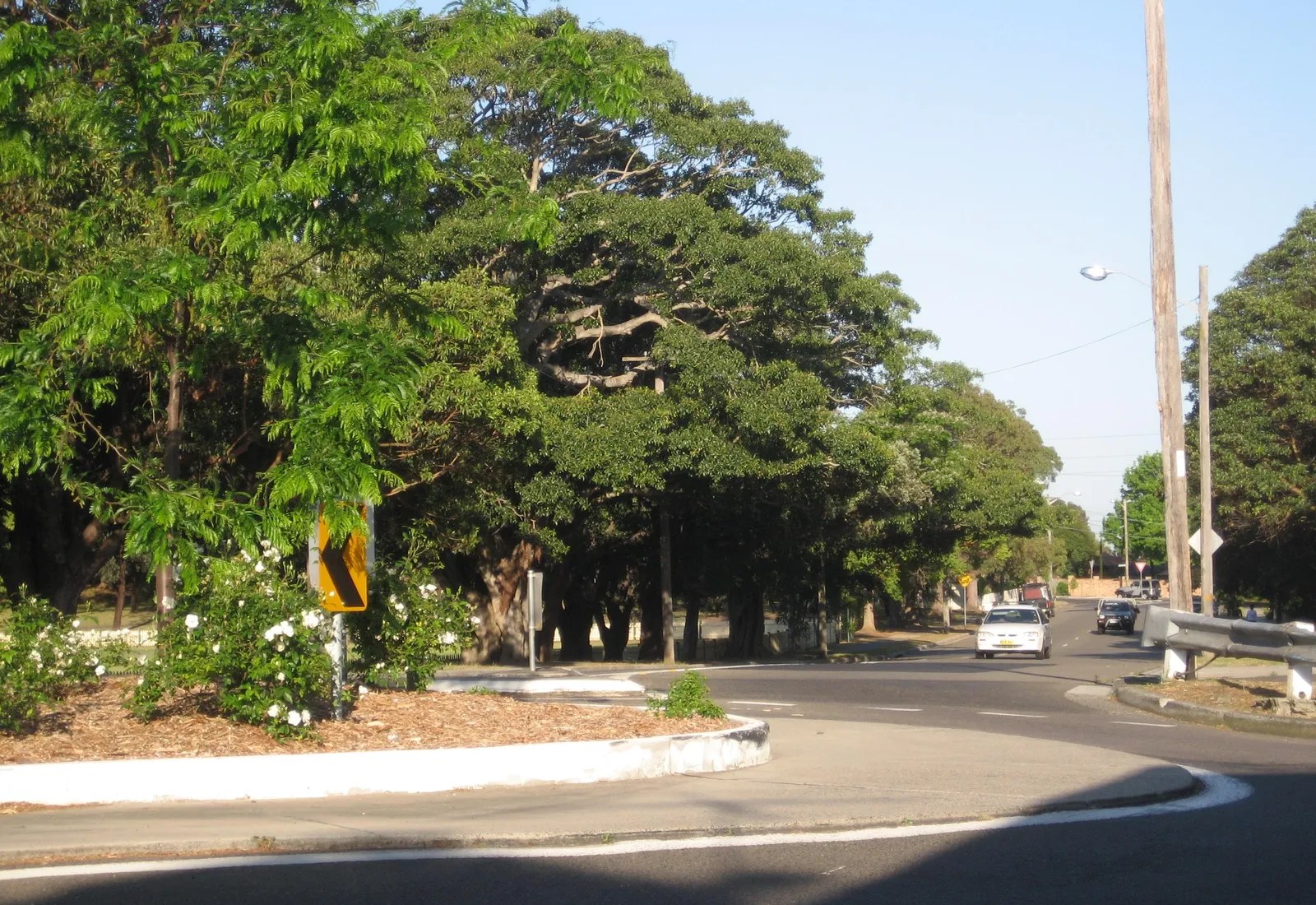 A streetscape in Gladesville on Sydney's lower north shore