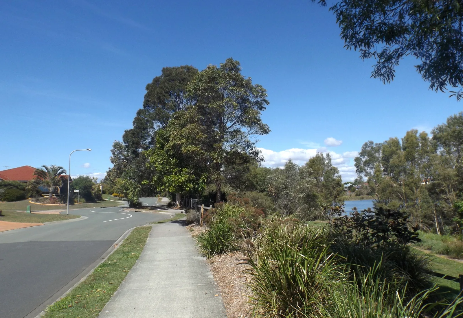 Halpine Lake in the master-planned young family suburb of Mango Hill in the City of Moreton Bay