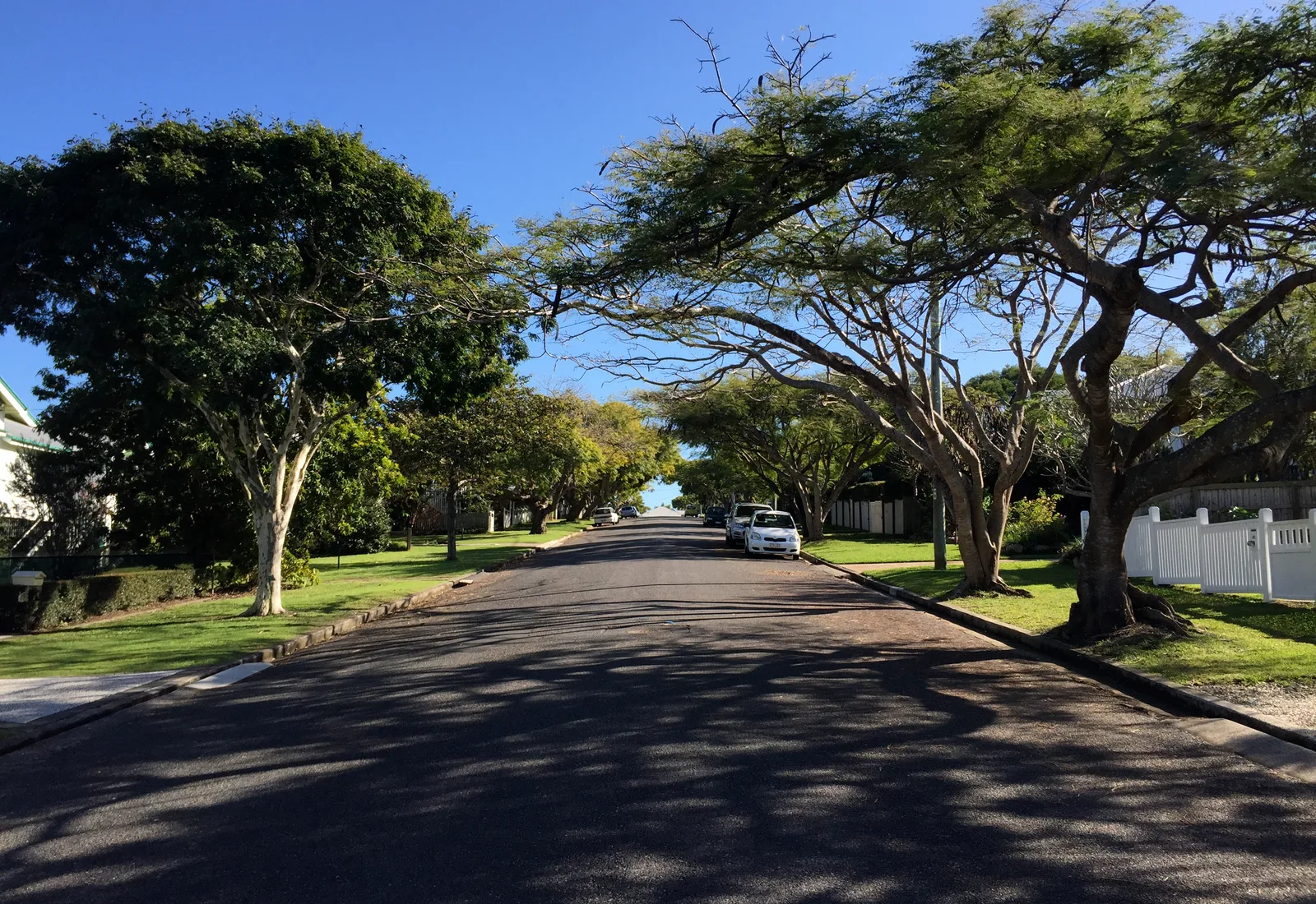 A residential street in Northgate, Brisbane's gentrifying inner-north