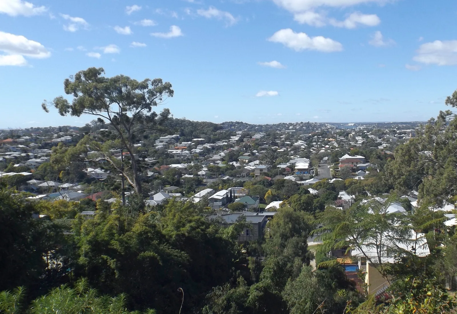 A leafy residential streetscape in Wilston, the affluent northern Brisbane village on the Ferny Grove rail line