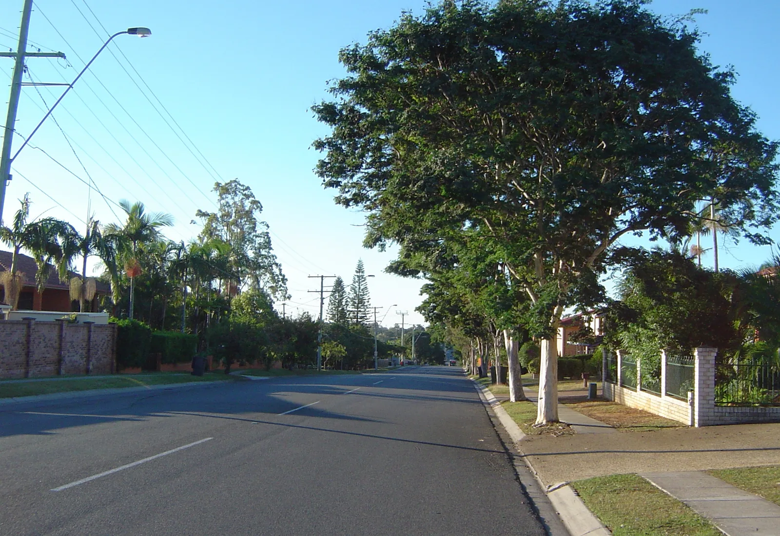 A streetscape on Ham Road in the diverse south-eastern Brisbane family suburb of Wishart